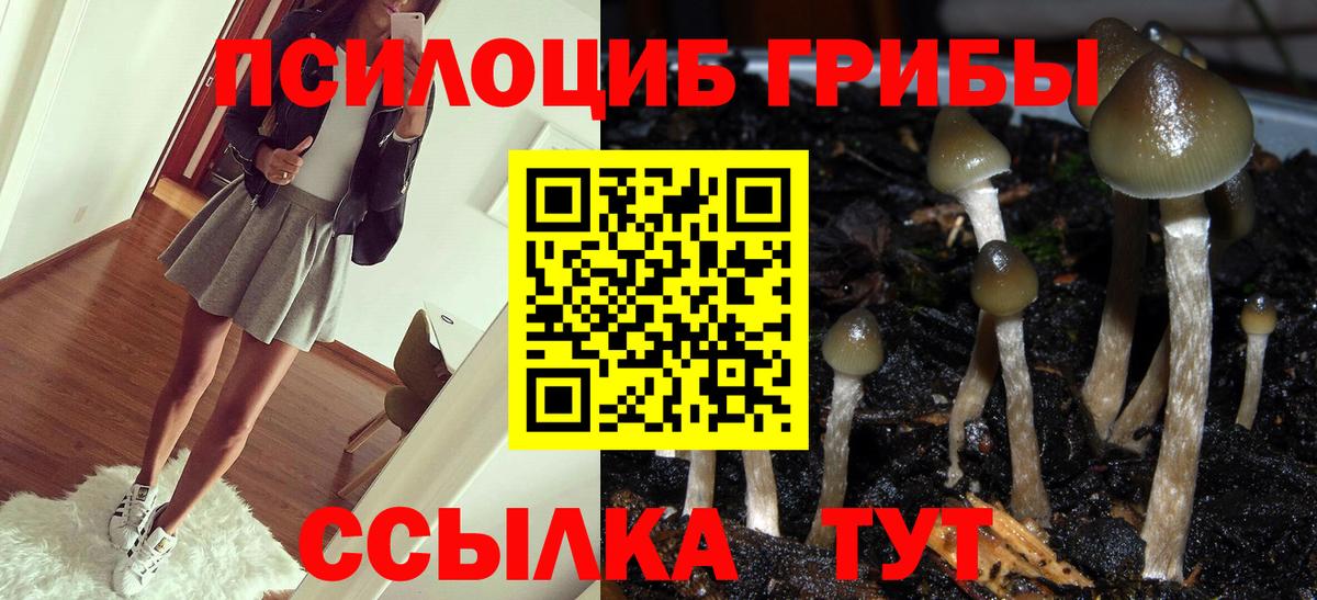 Шадринск  Гашиш  Конопля  Меф МЯУ МЯУ кристаллы  Вход с VPN  NBOMe  Купить наркоту  Меф 