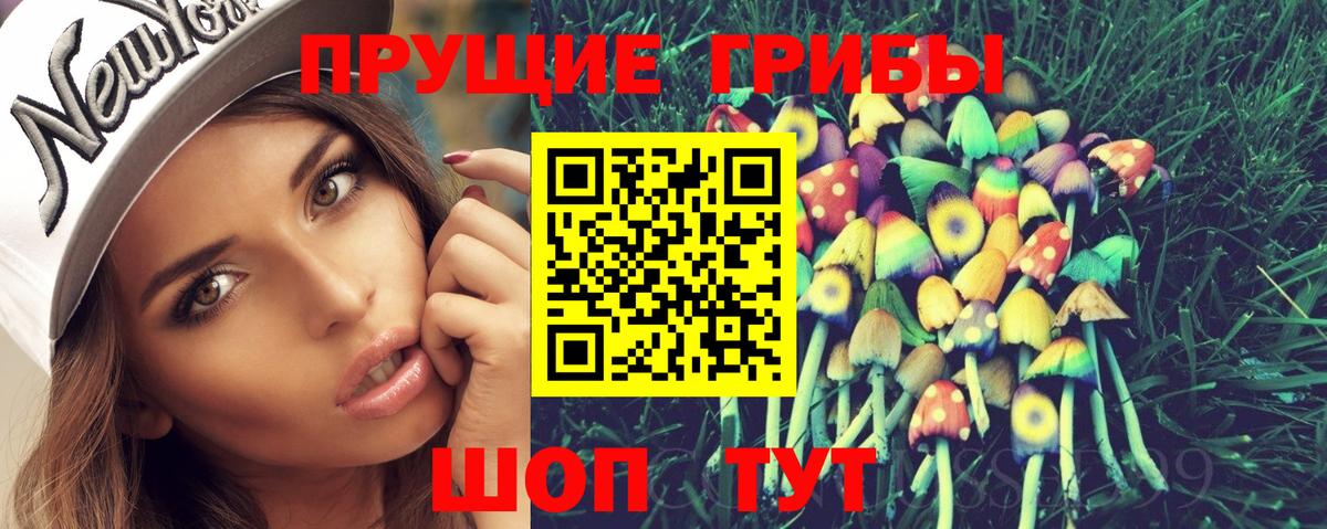 Псилоцибиновые грибы Cubensis Шадринск